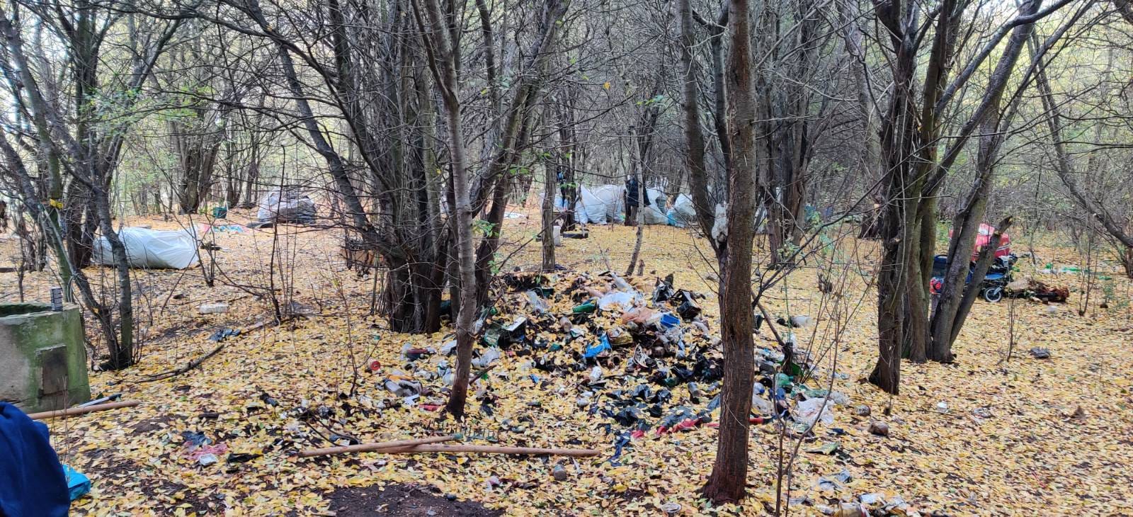 Černá skládka v lese s odpadky a zbytky bezdomovců.